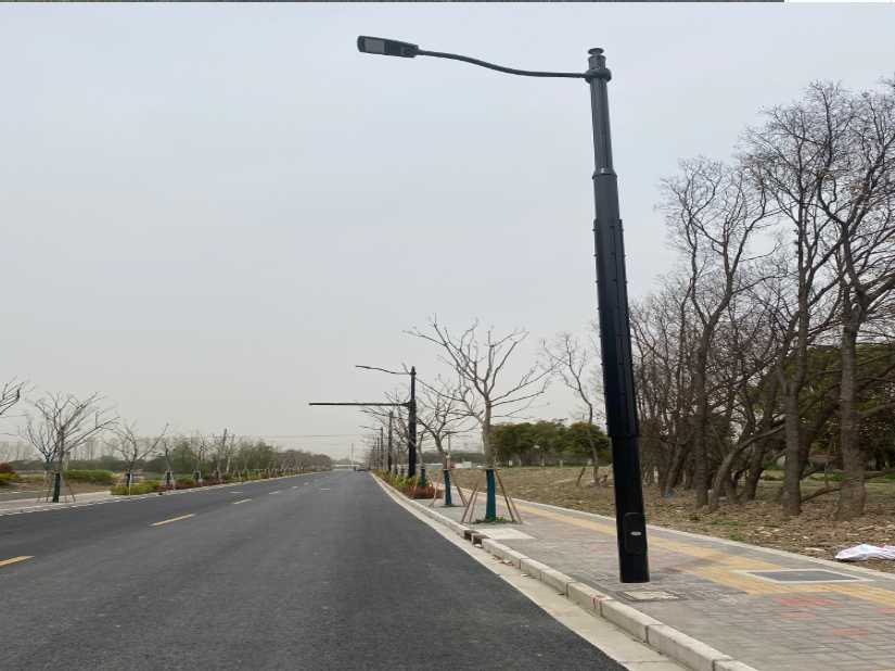 宜丰县上海综合杆 太阳能路灯工程